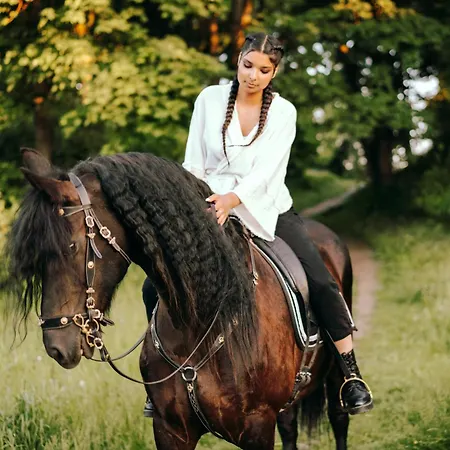 ヴィラ Collina Del Sole 12 Pax By Villasretreats *